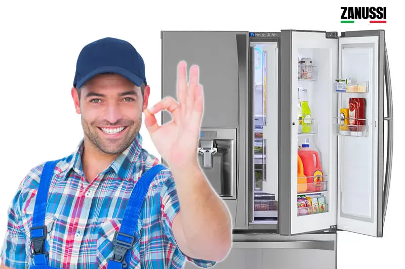 فروع صيانه زانوسي