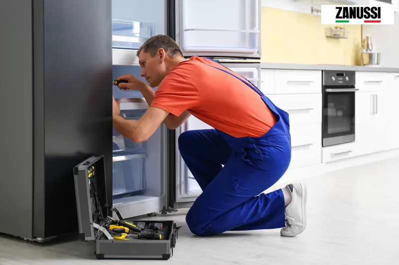 صيانة ثلاجات زانوسي